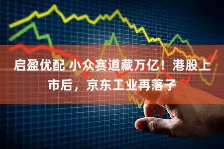 启盈优配 小众赛道藏万亿！港股上市后，京东工业再落子