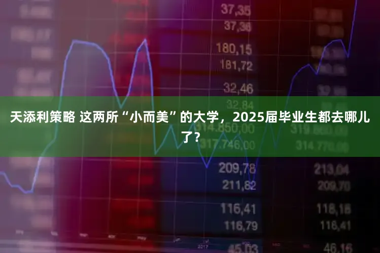 天添利策略 这两所“小而美”的大学，2025届毕业生都去哪儿了？