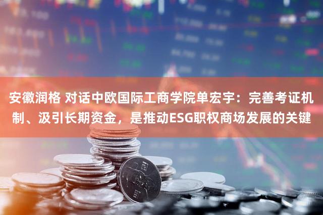 安徽润格 对话中欧国际工商学院单宏宇：完善考证机制、汲引长期资金，是推动ESG职权商场发展的关键