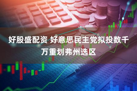 好股盛配资 好意思民主党拟投数千万重划弗州选区