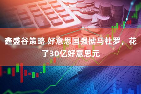 鑫盛谷策略 好意思国强掳马杜罗，花了30亿好意思元