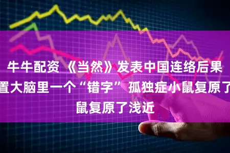 牛牛配资 《当然》发表中国连络后果：设置大脑里一个“错字” 孤独症小鼠复原了浅近