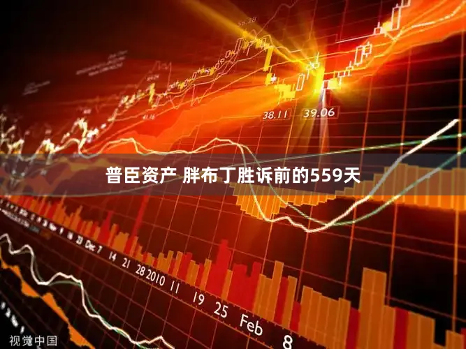 普臣资产 胖布丁胜诉前的559天