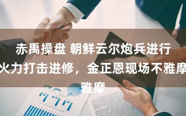 赤禹操盘 朝鲜云尔炮兵进行火力打击进修，金正恩现场不雅摩