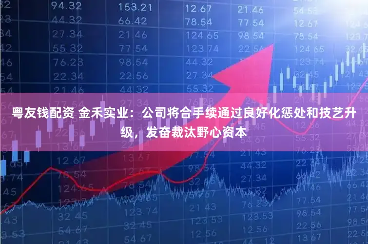 粤友钱配资 金禾实业：公司将合手续通过良好化惩处和技艺升级，发奋裁汰野心资本