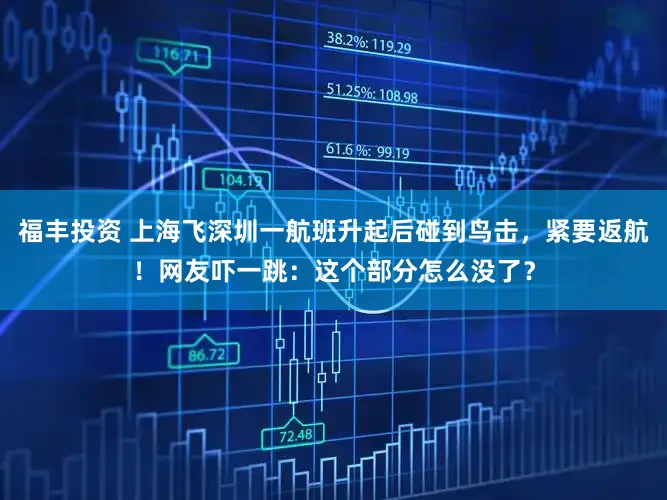福丰投资 上海飞深圳一航班升起后碰到鸟击，紧要返航！网友吓一跳：这个部分怎么没了？