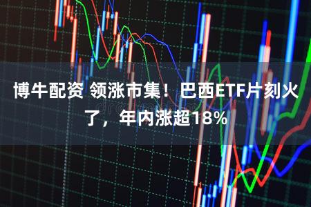 博牛配资 领涨市集！巴西ETF片刻火了，年内涨超18%