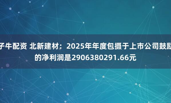 子牛配资 北新建材：2025年年度包摄于上市公司鼓励的净利润是2906380291.66元