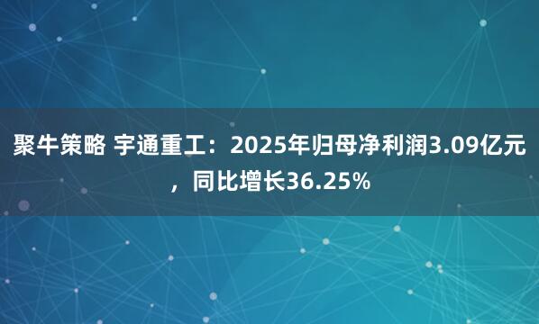 聚牛策略 宇通重工：2025年归母净利润3.09亿元，同比增长36.25%