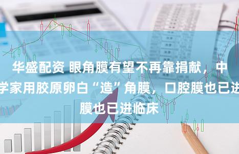 华盛配资 眼角膜有望不再靠捐献，中国科学家用胶原卵白“造”角膜，口腔膜也已进临床