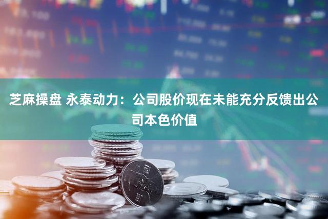 芝麻操盘 永泰动力:公司股价现在未能充分反馈出公司本色价值