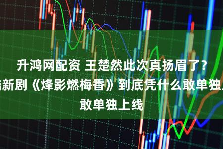 升鸿网配资 王楚然此次真扬眉了？优酷新剧《烽影燃梅香》到底凭什么敢单独上线