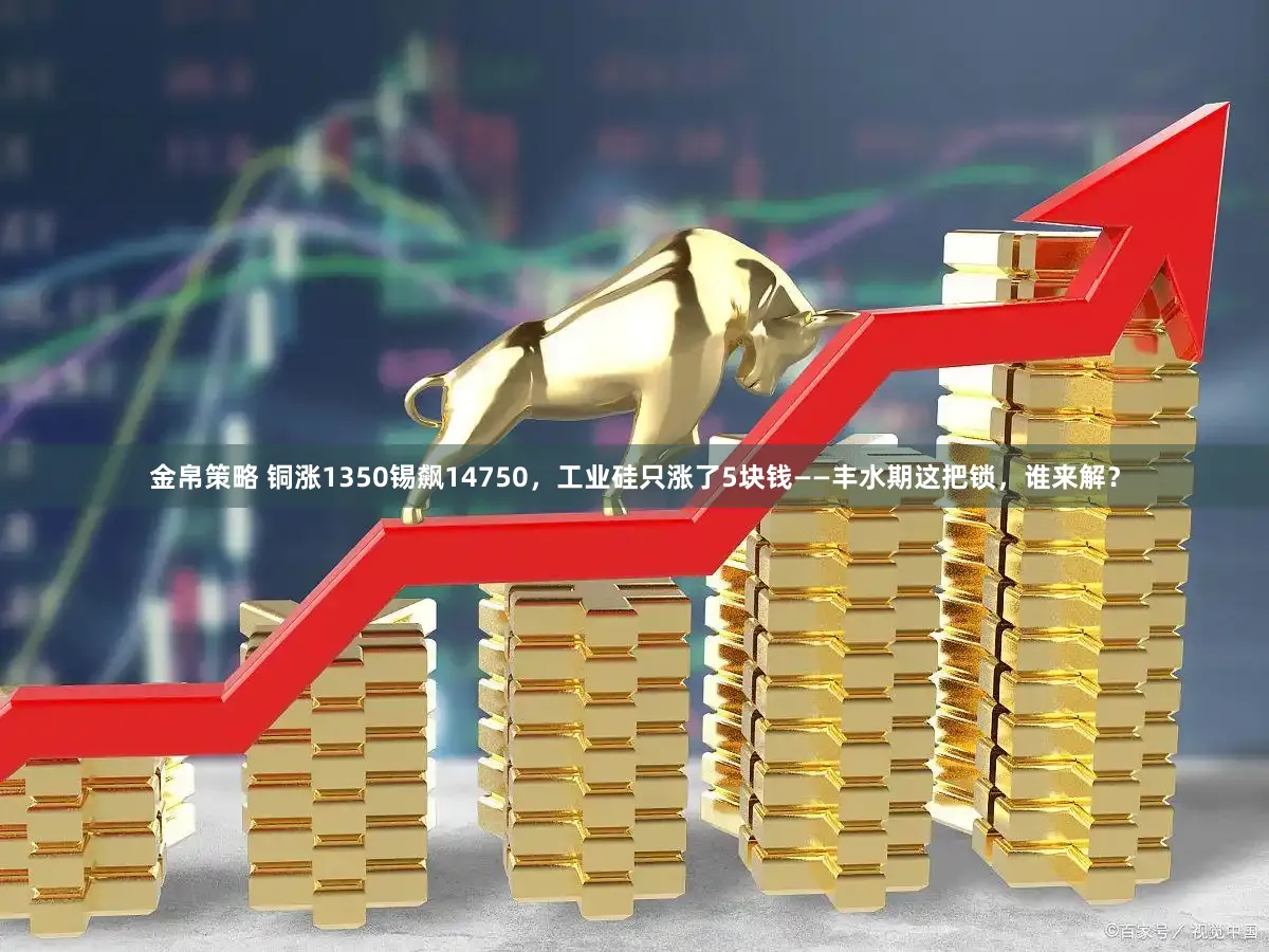 金帛策略 铜涨1350锡飙14750，工业硅只涨了5块钱——丰水期这把锁，谁来解？
