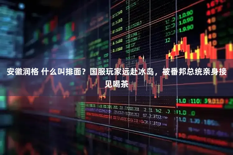 安徽润格 什么叫排面？国服玩家远赴冰岛，被番邦总统亲身接见喝茶